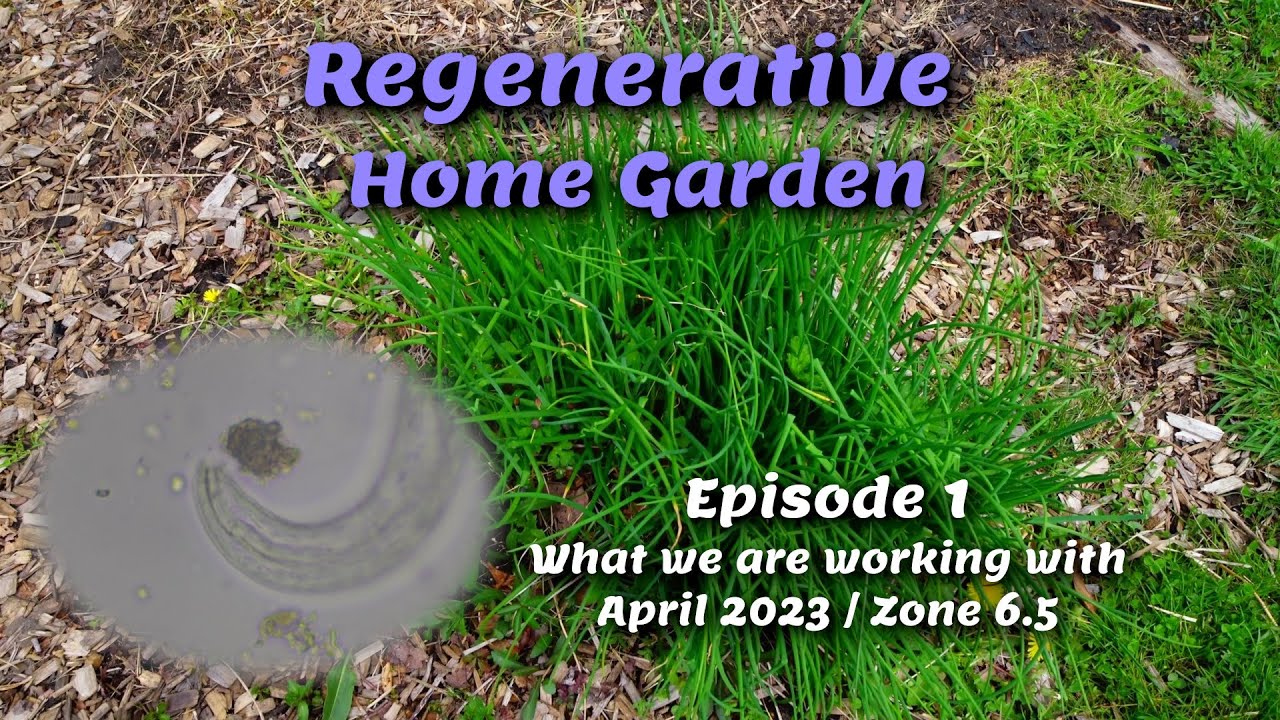 Regenerative Home Garden - What we are working with this season! 2023 ...