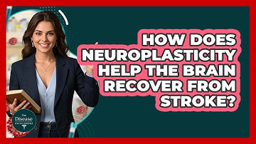 How Does Neuroplasticity Help The Brain Recover From Stroke? - The Disease Encyclopedia