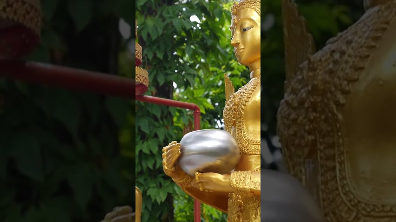 Discover 10 Mind Blowing Facts About Thailand That Will Totally Surprise You 