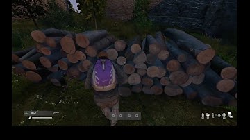 Line of Sight and Killable DayZ SA Demo