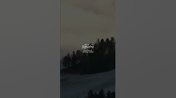 سورة القصص | بصوت [ #اسلام_صبحي ]
