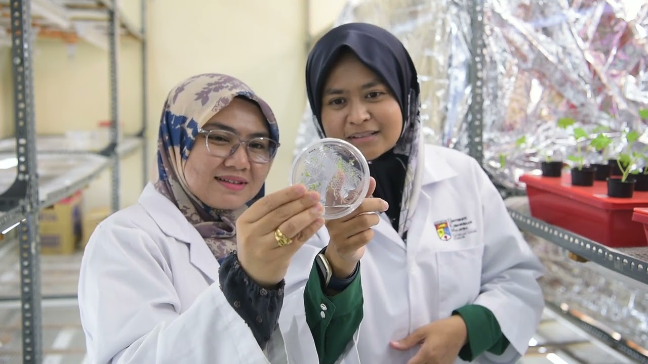 Plant Biotechnology programme | Faculty of Science and Technology