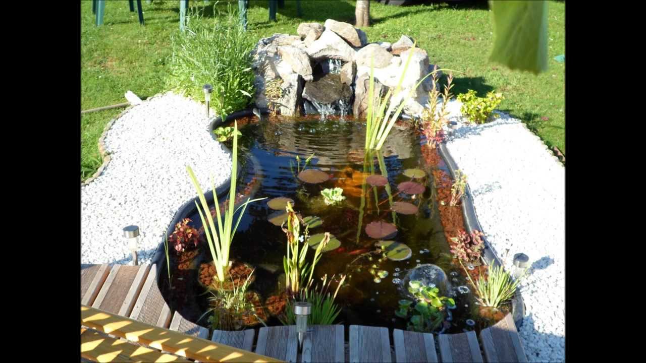 bassin de jardin 2016