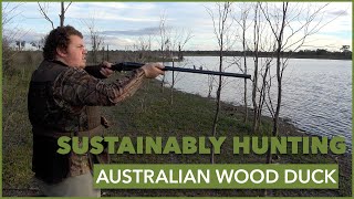 From Field to Table: Spotting, Shooting, and Preparing an Australian Wood Duck | With Christian by CHASA - Conservation And Hunting Alliance of SA 303 views 9 months ago 1 minute, 54 seconds