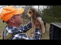 Training Checkers - Getting a Beagle Puppy Ready for Rabbit Season の動画、YouTube動画。