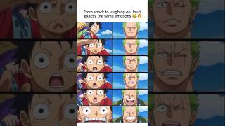 From shock to laughing out loud, exactly the same emotions 😂🔥 #anime #onepiece #memes