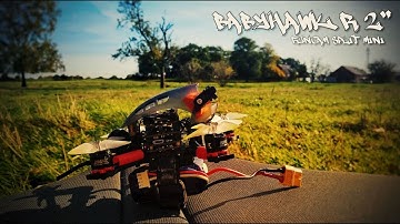 Flugtagebuch #10 [Babyhawk-R & Runcam Split Mini]