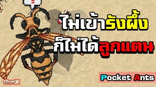 Pocket Ants Ep.10 - แผนการสุดล้ำ