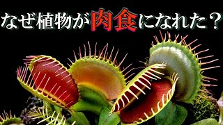 【ゆっくり解説】食虫植物の進化～眼も胃も無い捕食者～