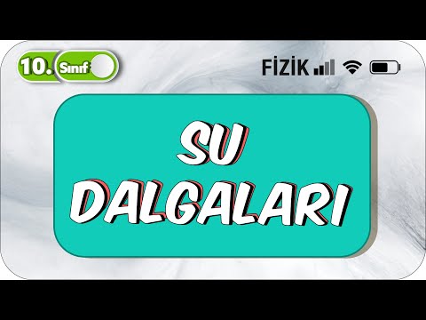 Video: Suda dalğalar eninədir, yoxsa uzununa?