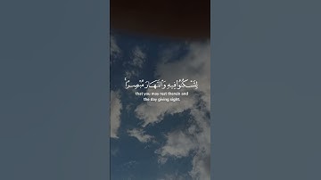 ا #قران_كريم #قران #المدينة_المنورة #الشيخ_ماهر_المعيقلي #المنشاوي #تلاوة_خاشعة #قرآن #الشيخ