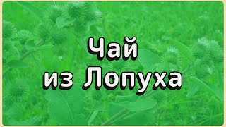 Болят колени и отекают ноги Пейте ЧАЙ ИЗ ЛОПУХА правильно! 3 проверенных рецепта