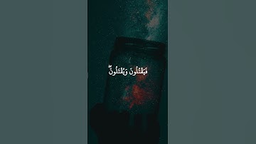 #قران_كريم #قرآن #تلاوات #تلاوة #تلاوة_خاشعة #سورة
