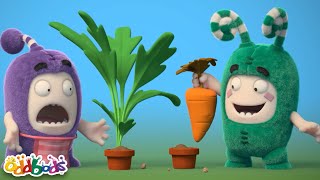 Semangat Berkebun👩🏻‍🌾 | Oddbods | Kartun Lucu Kocak | @OddbodsIndonesia | ​Kartun Anak-Anak ​