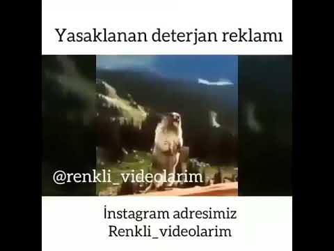 YASAKLANAN DETERJAN REKLAMI (AAA) PİRKOL