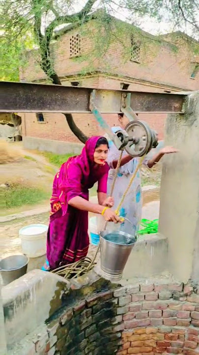 Pani🌊🌊🪣😹😹 Bhara😸😸🏟🏟 gana🏟🌊🤑💥#funny #cute #viralshort