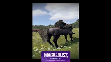 @MagicRust - сервера на любой вкус #magicrust #rustgame  #playrust  #facepunch  #rust  #rustgameplay