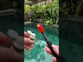 ❤️ЛУЧШАЯ ИЗ ВСЕХ❤️