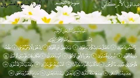 القارئ عبد الولي الأركاني سورة النجم كاملة جودة عالية