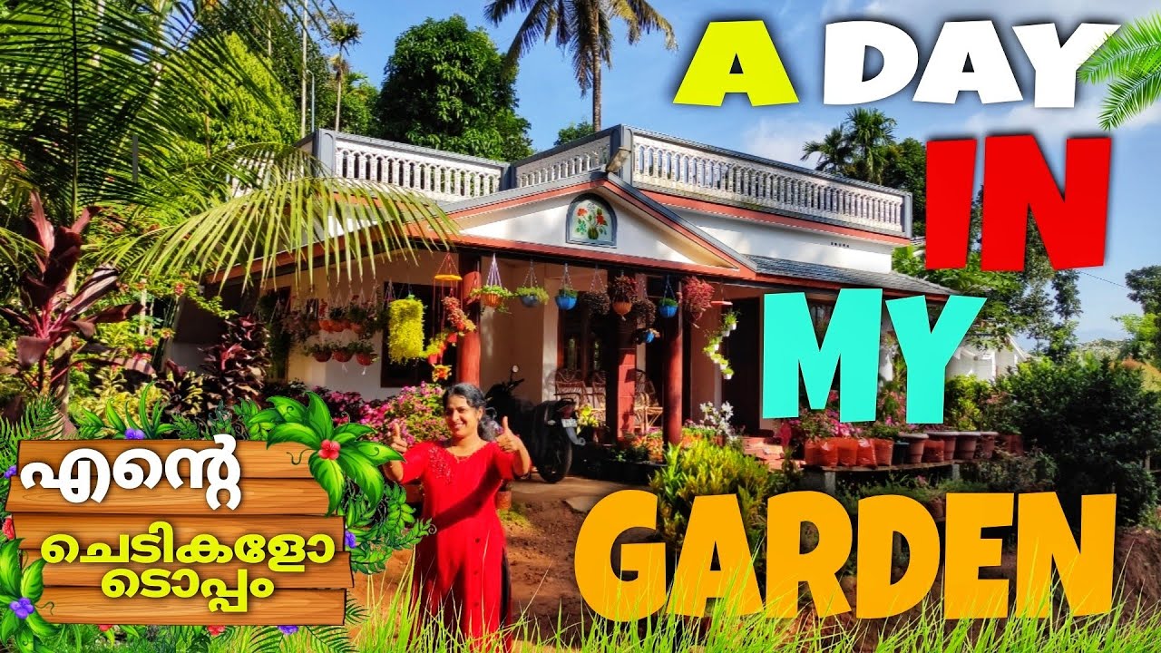 ഒരു ദിവസം പൂന്തോട്ടത്തിൽ |A Day In My Garden | J4u TIPS