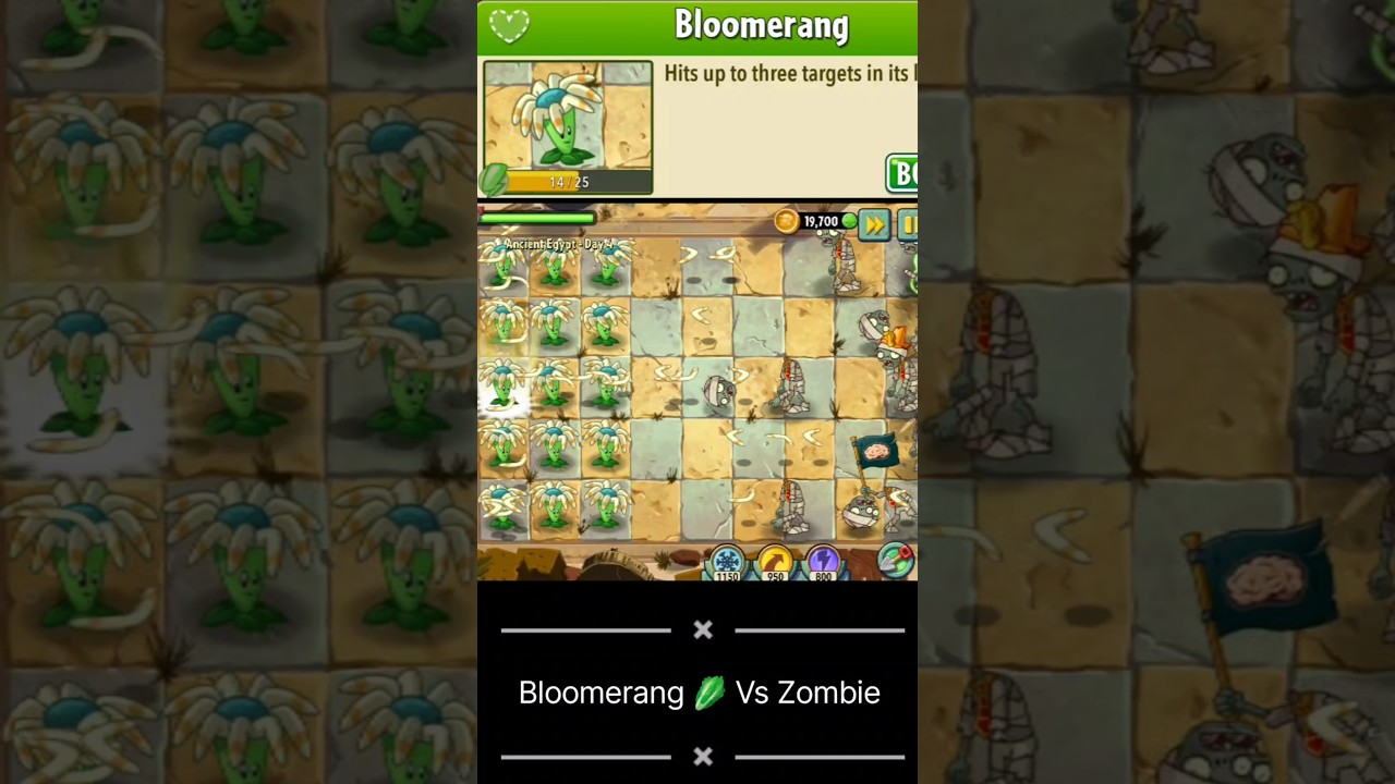 Bloomerang Plants Vs Zombie 