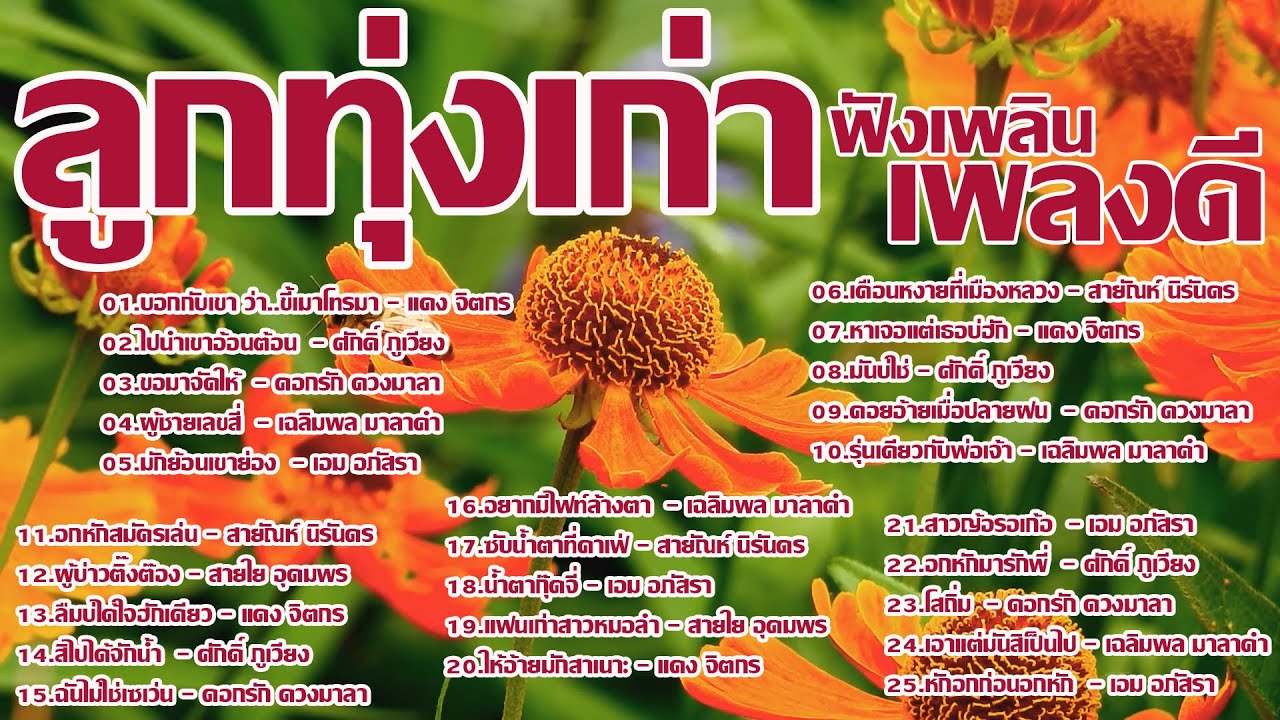 รวมเพลงลูกทุ่งเก่าฟังเพลินเพลงเพราะ