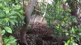 IMG 0046