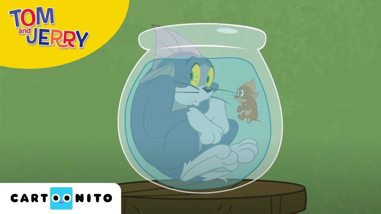 ⁣Tom i Jerry Show | Czas na kolację | Boomerang