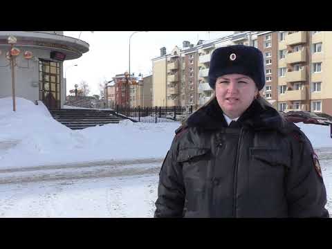 В Нижневартовске полицейские поймали сбежавшую медведицу и передали её волонтёрам