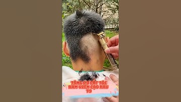 Tông Đơ Cắt Tóc, Cạo Râu, Bấm Viền Vintage T9 Hình Rồng - 11177