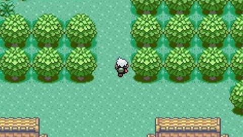 pokemon torchic only run1