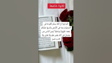 تلاوة خاشعة #اكسبلور #فايسبوك #لايك #كتب #youtube #تيك_توك #duet #القرآن_الكريم #تليگرام #دويتو