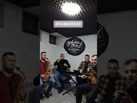 ANDREI USCA- FAC BANII CU SACII LIVE(cover Nicolae Guta)