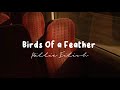 Billie Eilish Birds Of A Feather Song Lyrics Billie Eilish Birds Of A Feather Song Lyrics