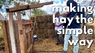 MAKING HAY THE SIMPLE WAY || INNOVATIVE AND EFFECTIVE TECHNIQUE FOR HAYMAKING