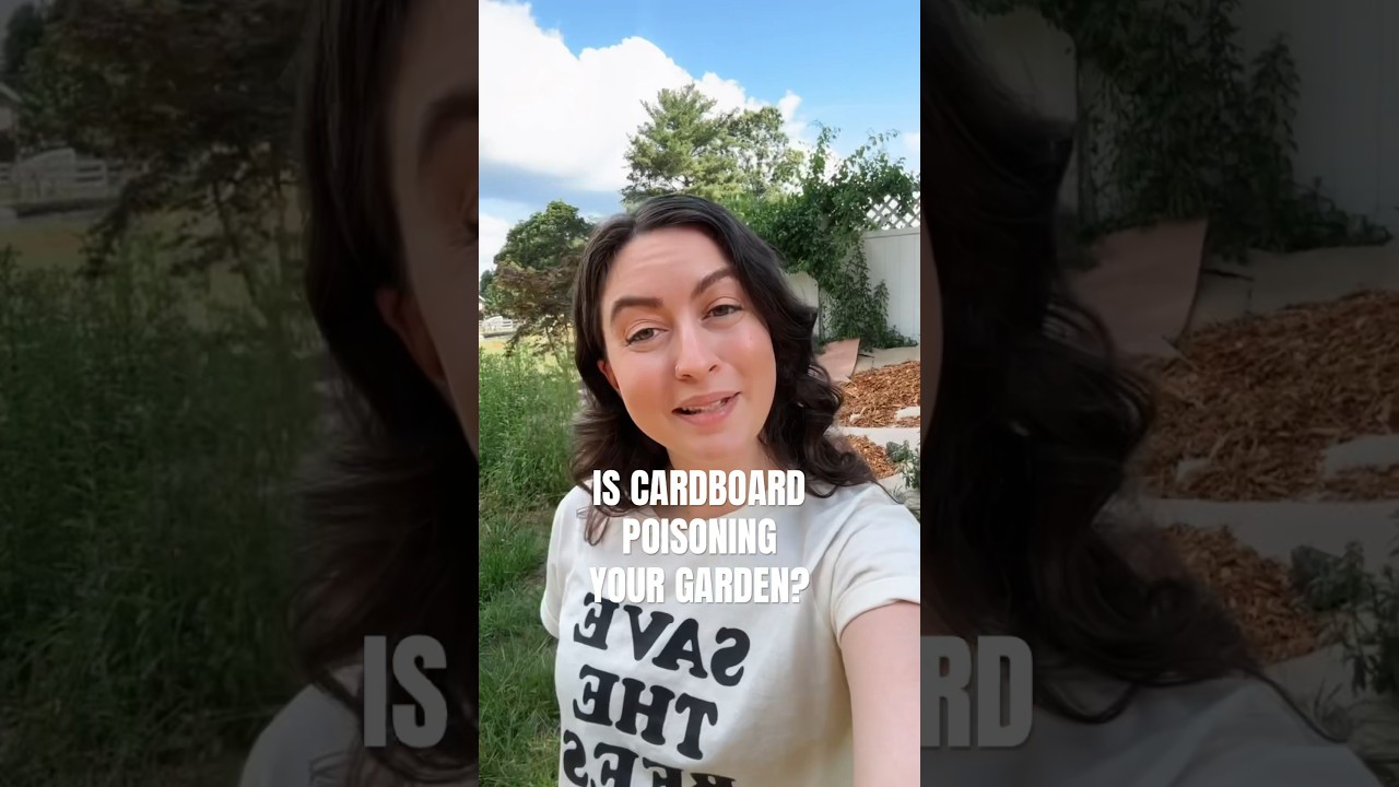 Should You Use Cardboard In Your Garden? 📦🙌🔥 