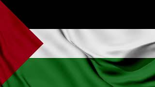 Palestine Flag Waving Background | HD | ROYALTY FREE screenshot 2