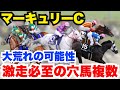 【万馬券】給料日前のあなたへ。マーキュリーC、この一頭で人生変わるかもしれません