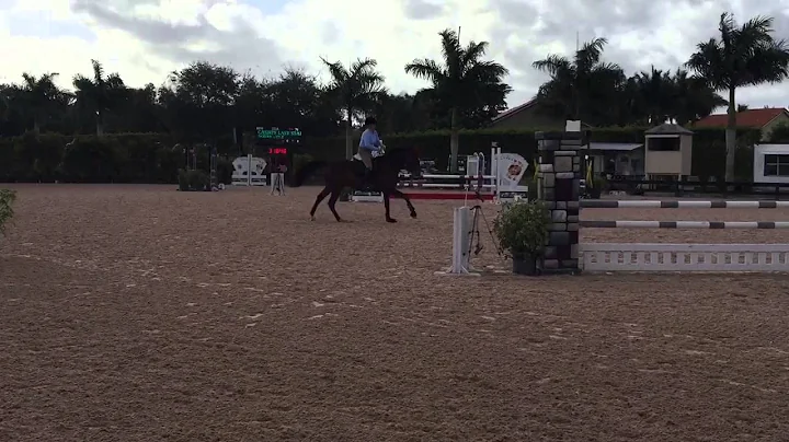 Sandy Lytle and Super Flashy