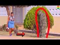 😂😂😂She Thought It Was A Tree! Best 2020 Bushman Prank Reactions!