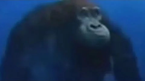 K-Taft broadcast 4/26/24