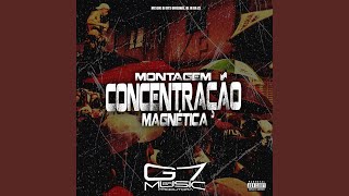 Montagem Concentração Magnética