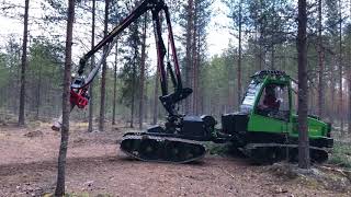 Jarcrac Eco harvester testing with Mowi P40 and Nisula 425H