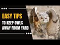 How To Scare Away Owls In Your Yard??Most Effective Methods