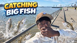 Day#2 Vallejo Waterfront Striped Bass Fishing !!!!              Like       Comment        Subscribe  Vallejo Waterfront