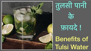 तुलसी पानी के फ़ायदे ! Benefits of Tulsi Water screenshot 1