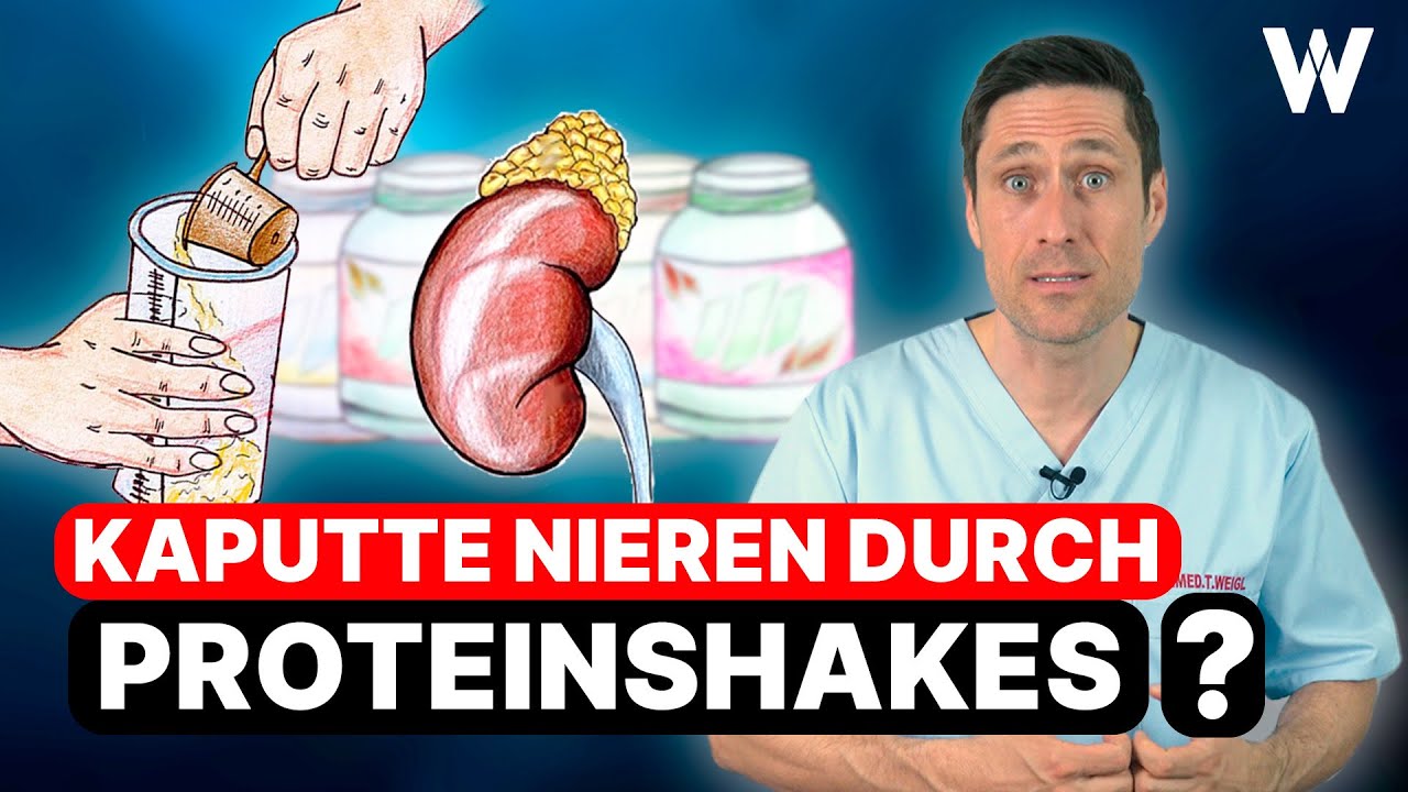 Kaputte Nieren durch Proteinshakes? Shakekonsum und die Folgen für Körper & Gesundheit! Limits!