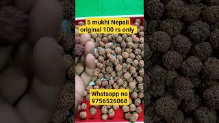 panch Mukhi Rudraksh Nepali | 5 mukhi Original Rudraksha | benefit of Five face rudraksha