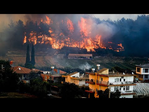 Turkey wildfires: Several dead and many injured as blaze rages across south of country