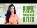 Home Remedies To Get Rid Of Mosquitoes Bites Scars & Allergies – Natural Treatments Home Remedies To Get Rid Of Mosquitoes Bites Scars & Allergies – Natural Treatments